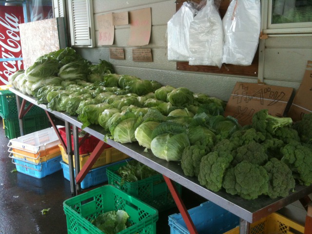 ファミリー牧場の野菜