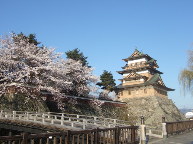 諏訪 高島城の桜